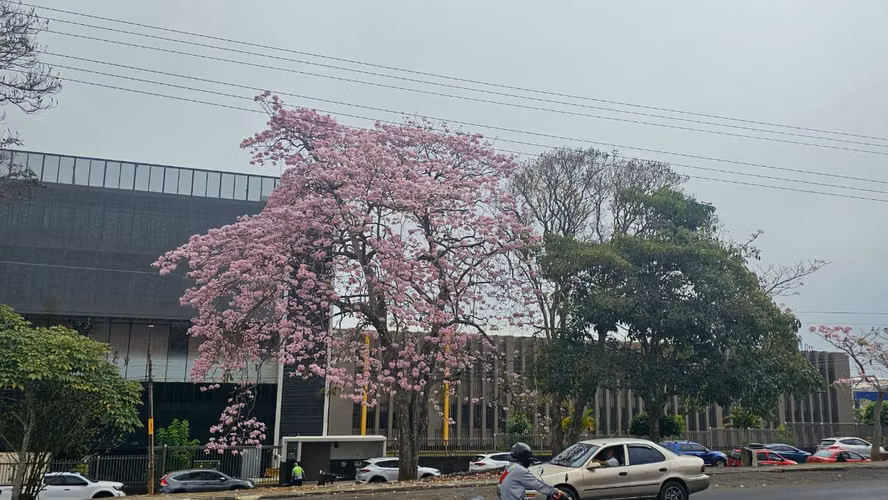 Alquiler de Edificio en el centro de San Ramón, Alajuela