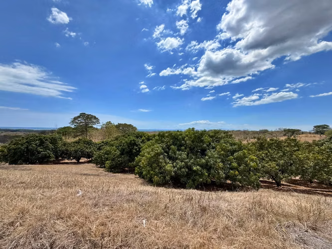 Venta finca con vista al mar y árboles frutales, Garabito. (MV)