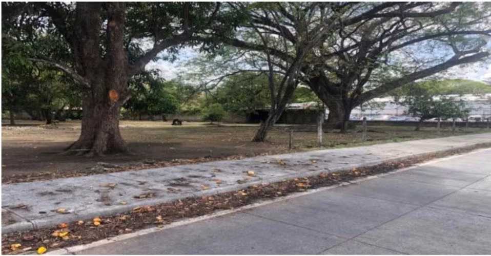 Se Vende Lote frente a Interamericana - Imagen 2