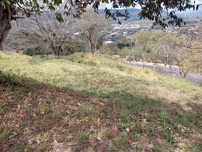 Santa Ana - Brasil | Lote Premium en Hacienda Los Bambúes - MV - Imagen 13