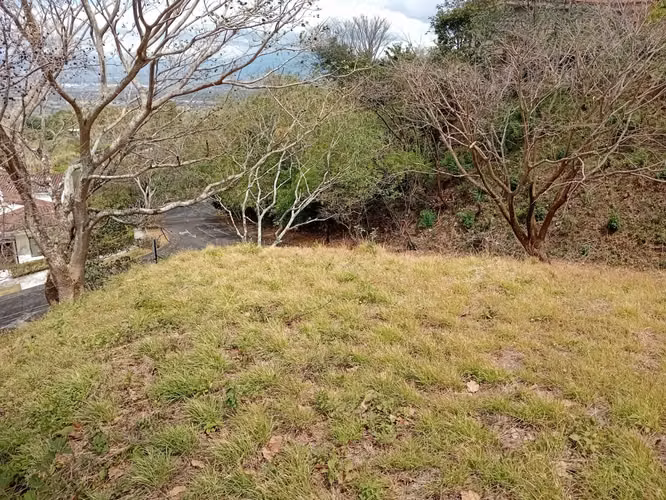 Santa Ana - Brasil | Lote Premium en Hacienda Los Bambúes - MV - Imagen 15