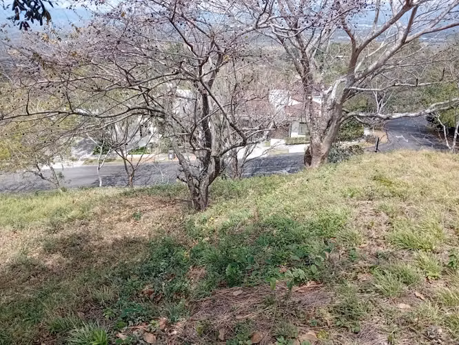 Santa Ana - Brasil | Lote Premium en Hacienda Los Bambúes - MV - Imagen 14
