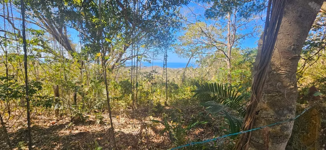Vendo Terreno de 1.5 ha con naciente, bosque y gran potencial eco residencial