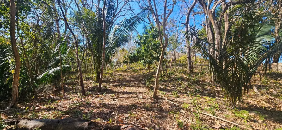 Vendo Terreno de 1.5 ha con naciente, bosque y gran potencial eco residencial