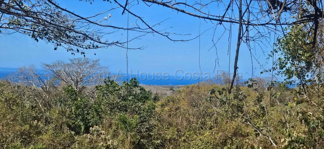 Vendo Terreno de 1.5 ha con naciente, bosque y gran potencial eco residencial