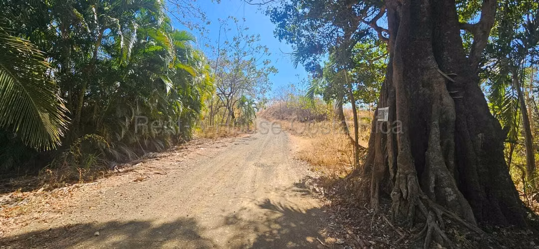Vendo Terreno de 1.5 ha con naciente, bosque y gran potencial eco residencial