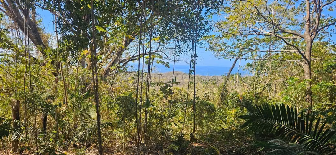 Vendo Terreno de 1.5 ha con naciente, bosque y gran potencial eco residencial