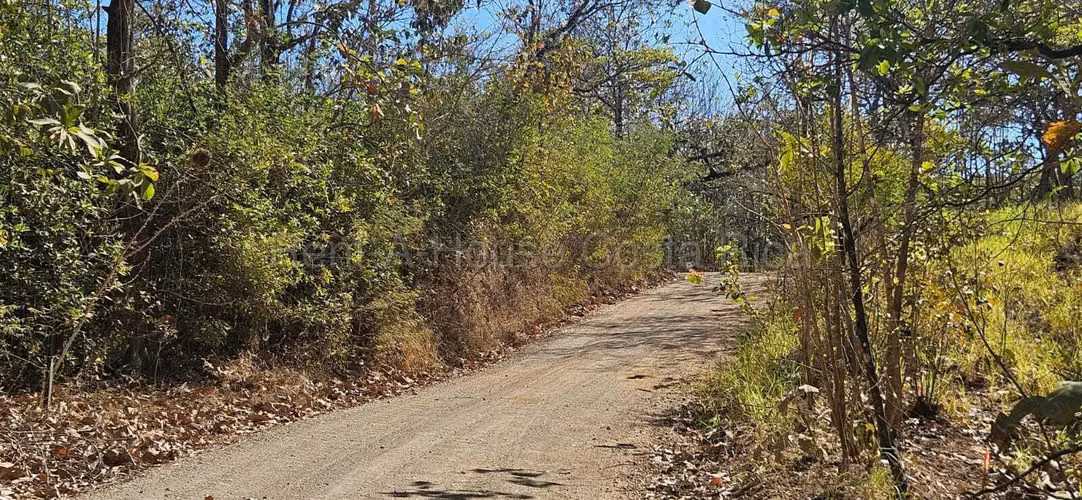 Vendo Terreno de 1.5 ha con naciente, bosque y gran potencial eco residencial