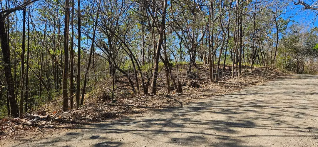 Vendo Terreno de 1.5 ha con naciente, bosque y gran potencial eco residencial