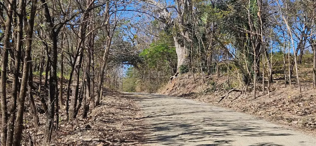 Vendo Terreno de 1.5 ha con naciente, bosque y gran potencial eco residencial