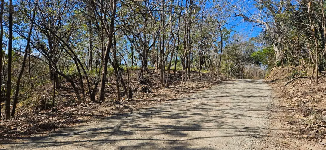 Vendo Terreno de 1.5 ha con naciente, bosque y gran potencial eco residencial