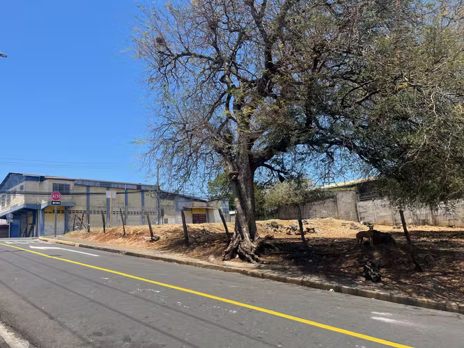 Lote Esquinero Comercial y Residencial a 100 m del Parque de Cañas