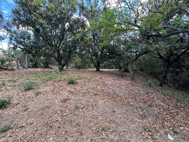 Lote en Piedades de Santa Ana mediana dencidad 75% de covertura $200 x m2