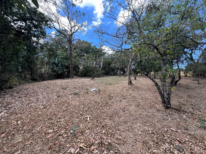 Lote en Piedades de Santa Ana mediana dencidad 75% de covertura $200 x m2
