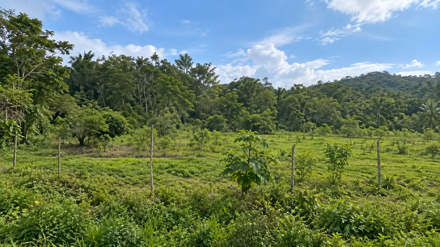 Hojancha Guanacaste 4,027 m²