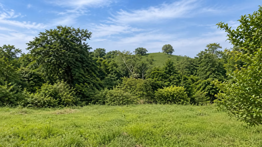 Hojancha Guanacaste 4,027 m²