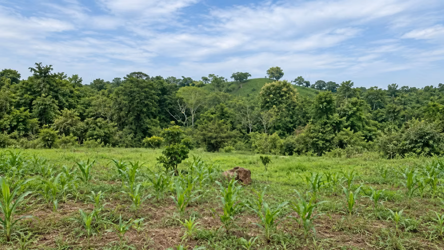Lote de 2,030 m² Hojancha Guanacaste