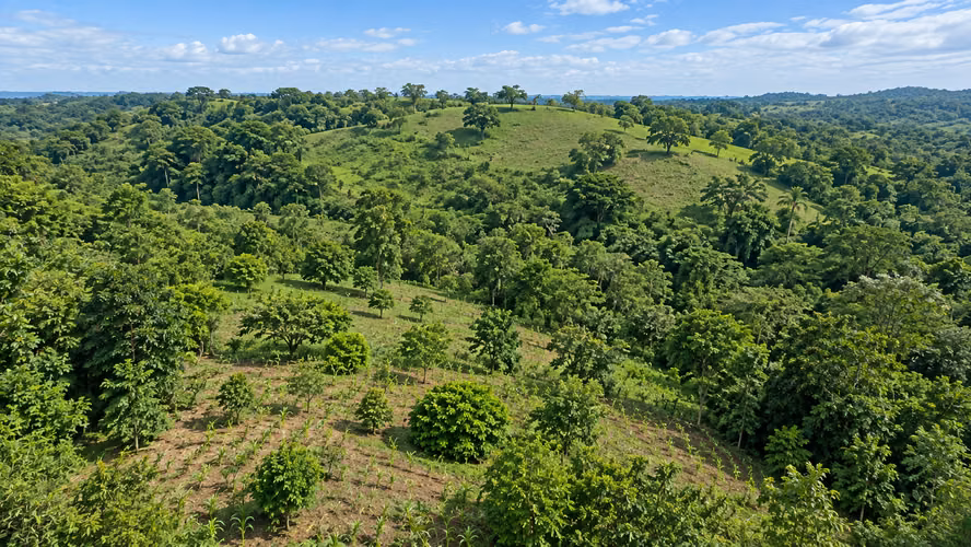 Lote de 2,030 m² Hojancha Guanacaste