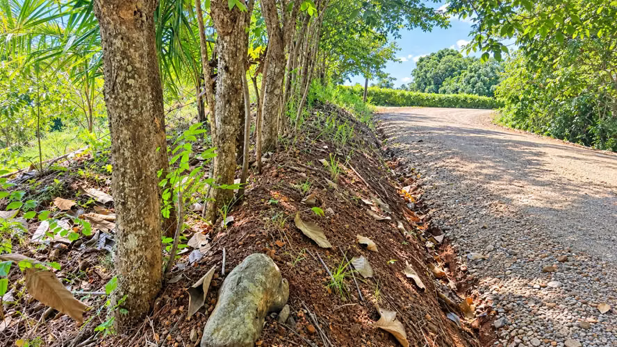 Lote de 2,030 m² Hojancha Guanacaste - Imagen 19