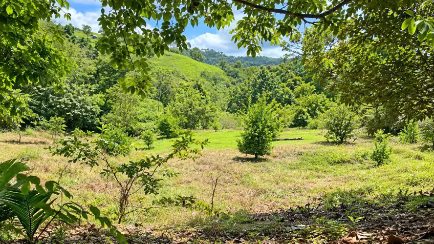 Lote de 2,030 m² Hojancha Guanacaste - Imagen 16