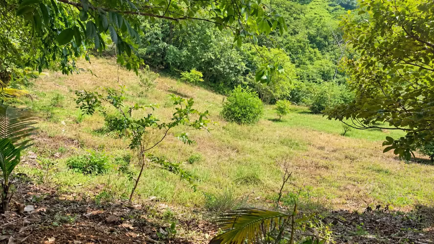Lote de 2,030 m² Hojancha Guanacaste - Imagen 18