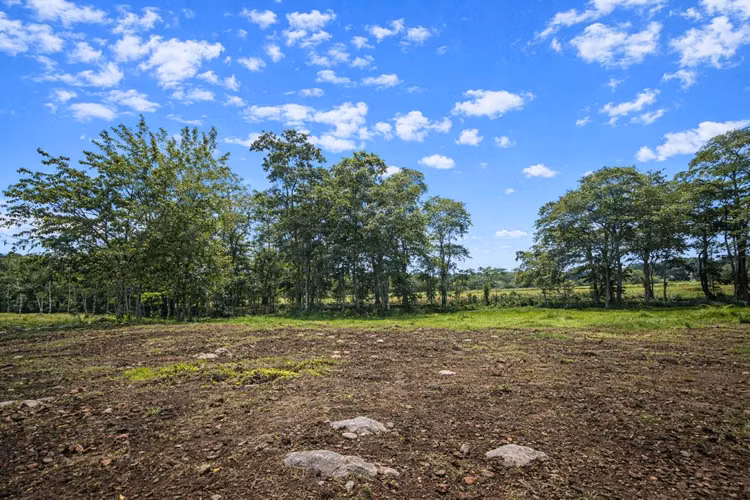 Venta de Lote en Pococí, Buenos Aires - Imagen 4