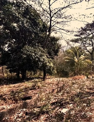 Venta de Lote en La Libertad de Sardinal, Guanacaste. - Imagen 8
