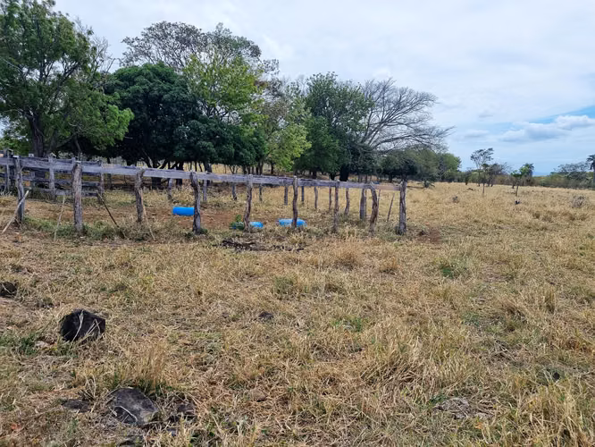Venta Finca Palmira Cañas Guanacaste 60,7 ha