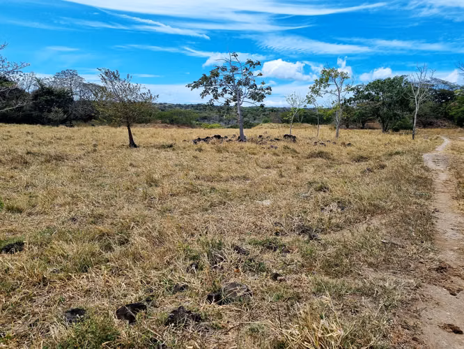 Venta Finca Palmira Cañas Guanacaste 60,7 ha