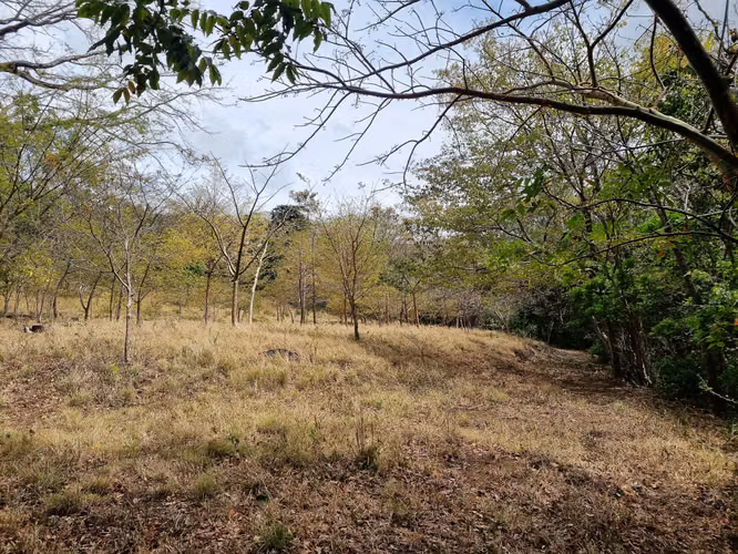 Venta Finca Palmira Cañas Guanacaste 60,7 ha