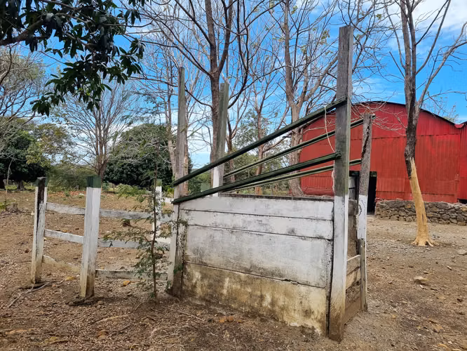 Venta Finca Palmira Cañas Guanacaste 60,7 ha