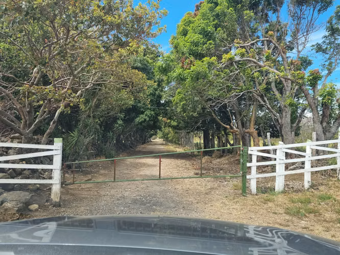 Venta Finca Palmira Cañas Guanacaste 60,7 ha