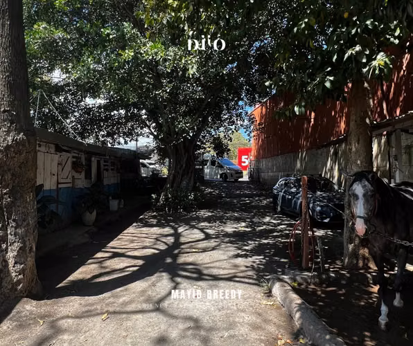 Venta Terreno con uso de suelo de Alta Densidad Residencial - Imagen 6
