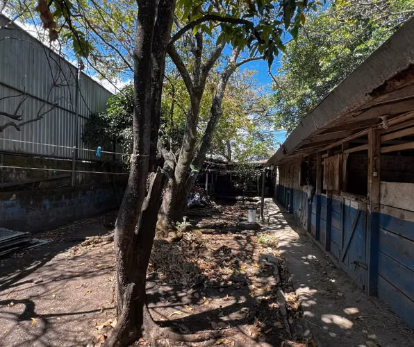 Venta Terreno con uso de suelo de Alta Densidad Residencial - Imagen 10