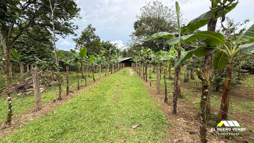 Finca en Venta en  Sarapiquí, La Virgen