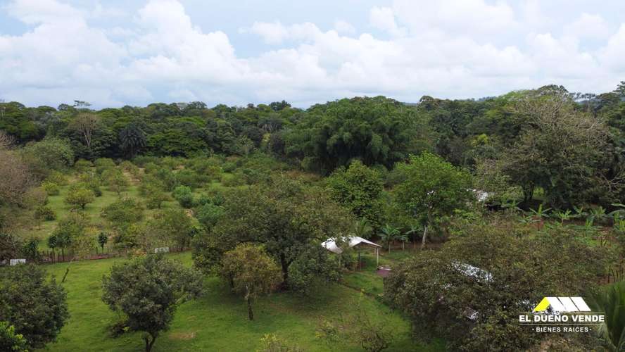 Finca en Venta en  Sarapiquí, La Virgen