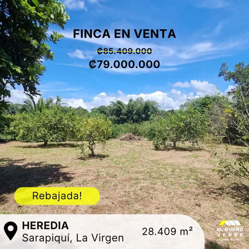Finca en Venta en  Sarapiquí, La Virgen