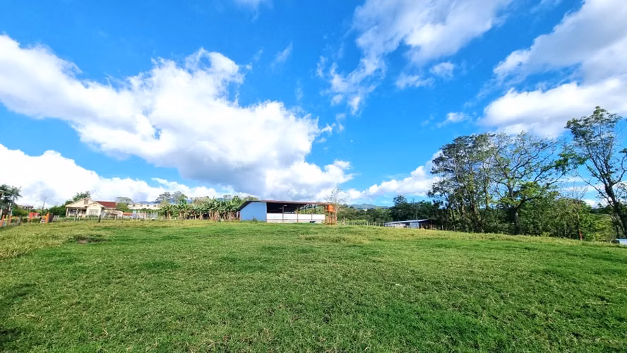 Terreno en Venta Goicoechea Guadalupe, Mata de Plátano - Imagen 6