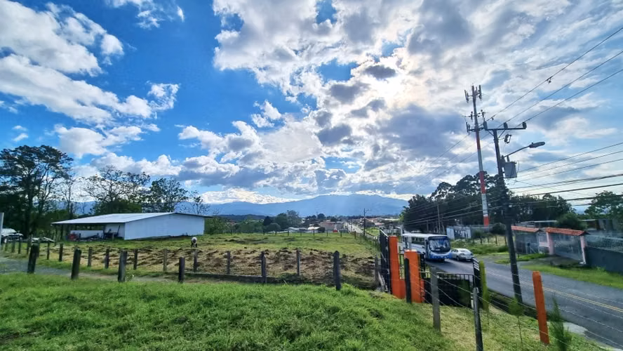 Terreno en Venta Goicoechea Guadalupe, Mata de Plátano - Imagen 4