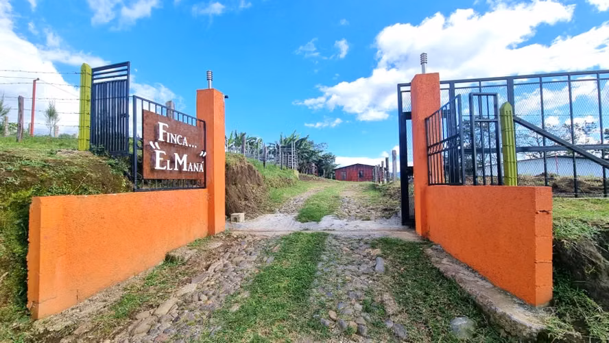 Terreno en Venta Goicoechea Guadalupe, Mata de Plátano - Imagen 2