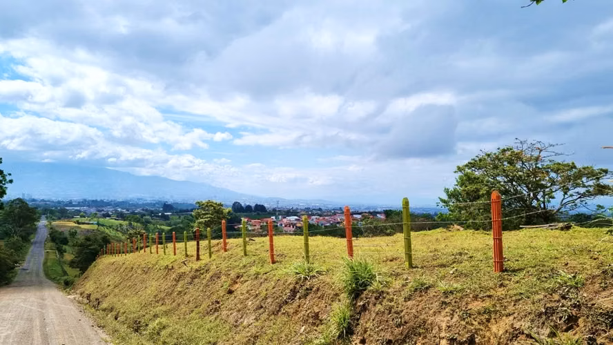 Terreno en Venta Goicoechea Guadalupe, Mata de Plátano - Imagen 5