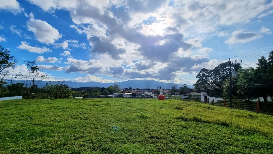 Terreno en Venta Goicoechea Guadalupe, Mata de Plátano - Imagen 8