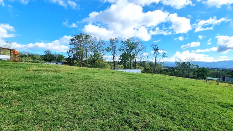 Terreno en Venta Goicoechea Guadalupe, Mata de Plátano - Imagen 7