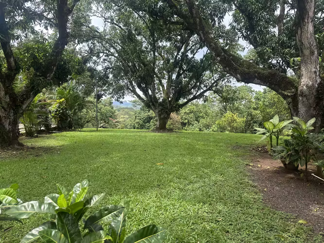 Vendo quinta en San Mateo Orotina - Imagen 11
