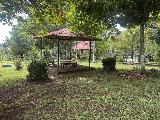 Vendo quinta en San Mateo Orotina - Imagen 7