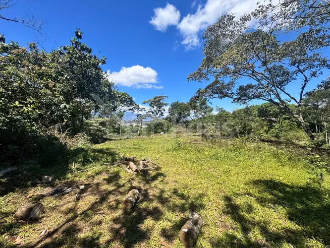 id 42268 Lote en Venta - San Ramón Tres Rios