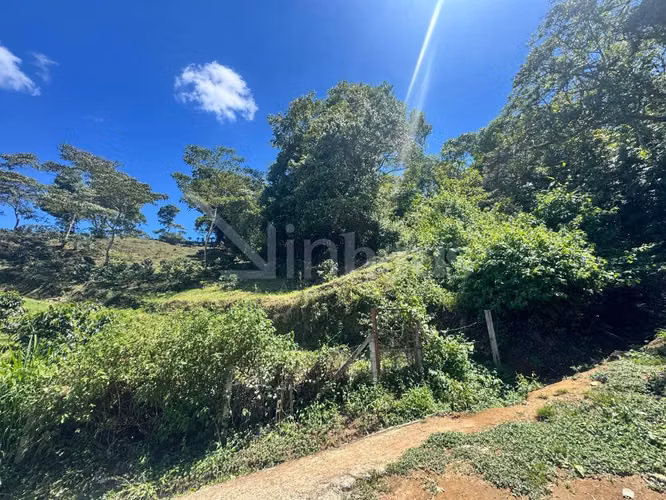id 42268 Lote en Venta - San Ramón Tres Rios