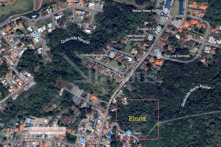 id 42268 Lote en Venta - San Ramón Tres Rios