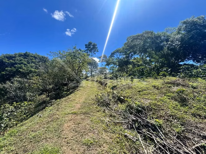 id 42268 Lote en Venta - San Ramón Tres Rios