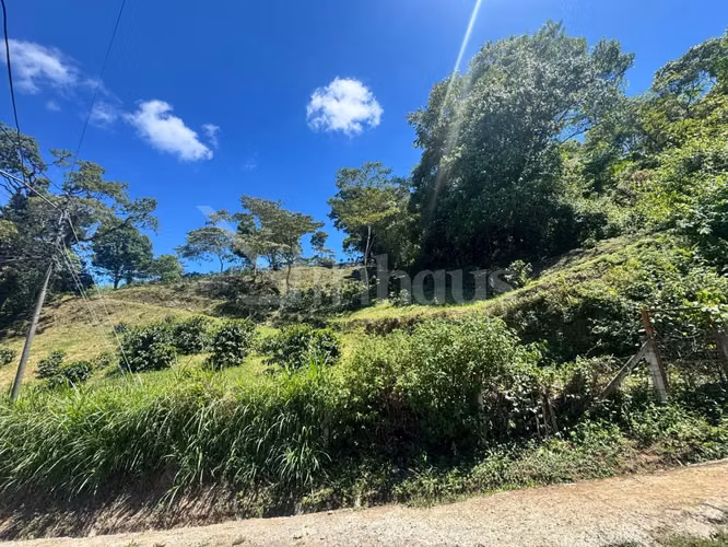 id 42268 Lote en Venta - San Ramón Tres Rios